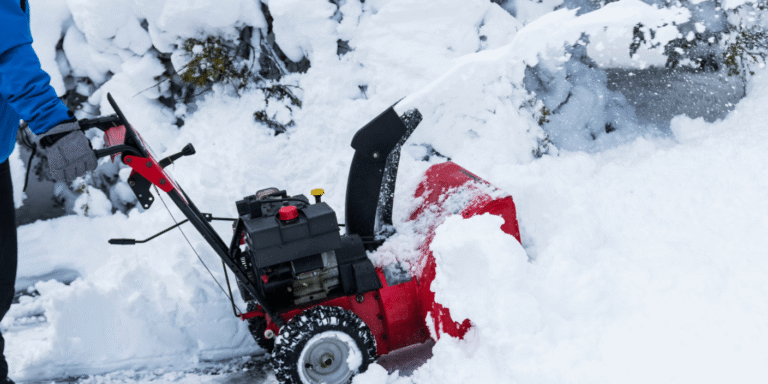 Best Electric Snow Blower
